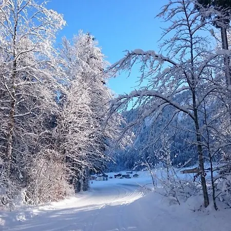 Mein Elternhaus Gaestehaus Waltraud Fink Appartement