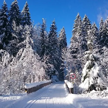 Mein Elternhaus Gaestehaus Waltraud Fink 아파트 *