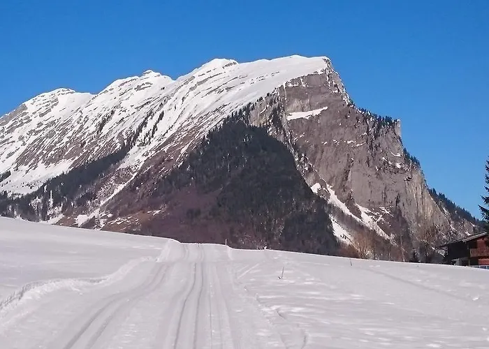 Mein Elternhaus Gaestehaus Waltraud Fink * Au (Bregenz)