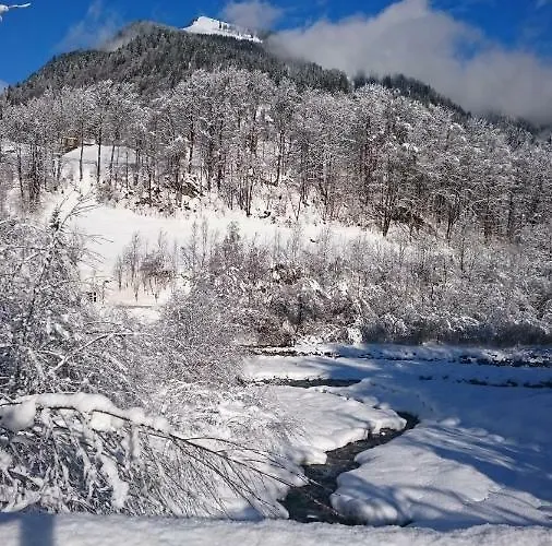 Mein Elternhaus Gaestehaus Waltraud Fink * Au (Bregenz)