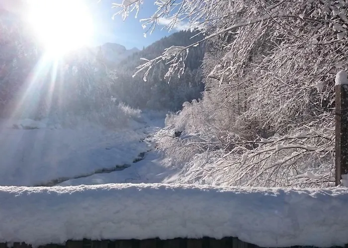 Mein Elternhaus Gaestehaus Waltraud Fink Apartamento *