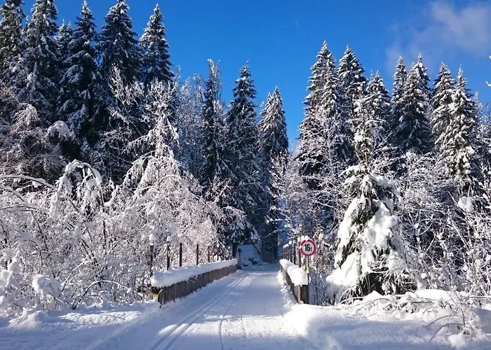 Mein Elternhaus Gaestehaus Waltraud Fink Apartamento *